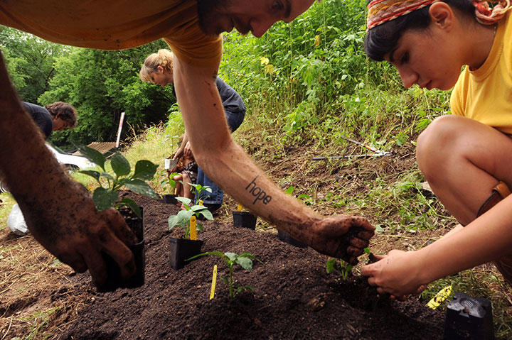 Occupy Austin participants install a garden at a locally owned coffee shop in Austin, Texas